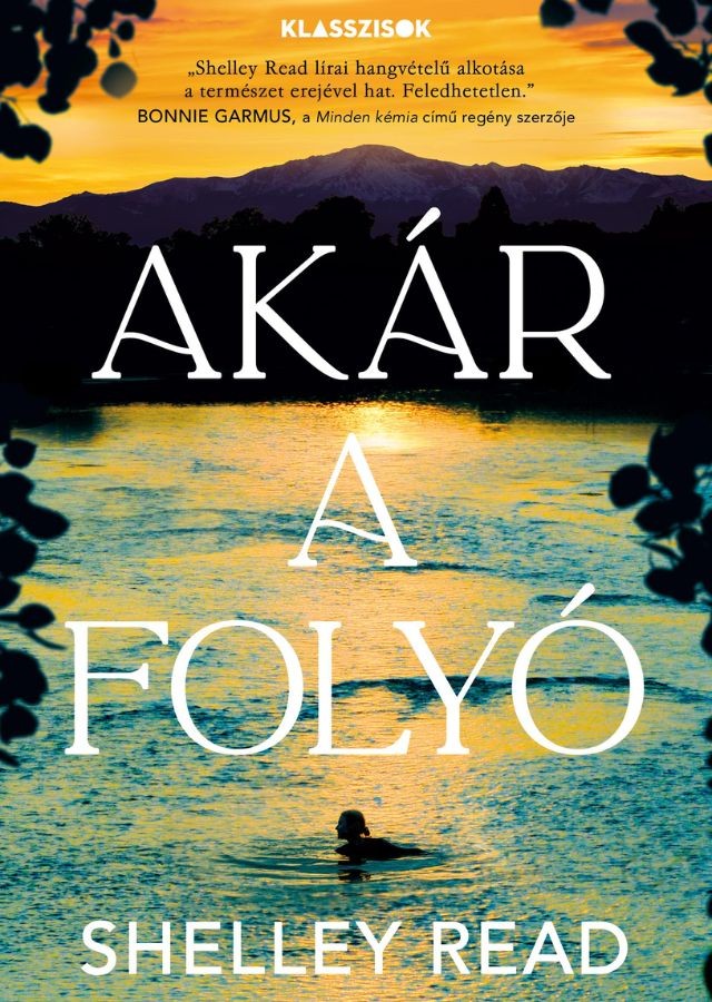 a könyv borítója