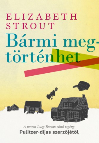 a könyv borítója