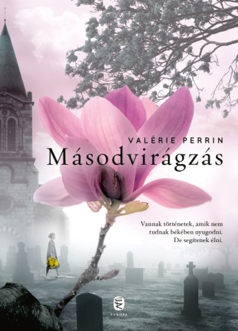 A könyv borítója