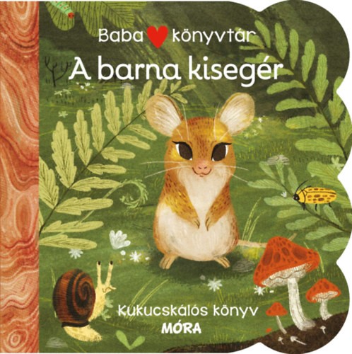 A könyv borítója