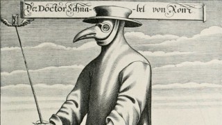 Pestisdoktor