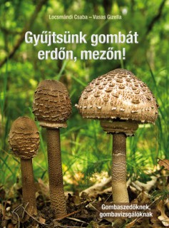 a könyv borítója