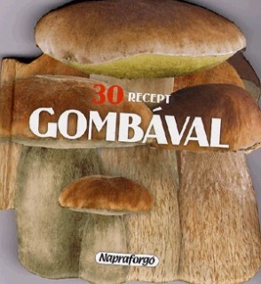 a könyv borítója