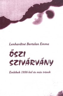 a könyv borítója