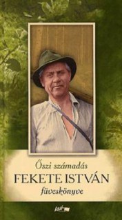 a könyv borítója