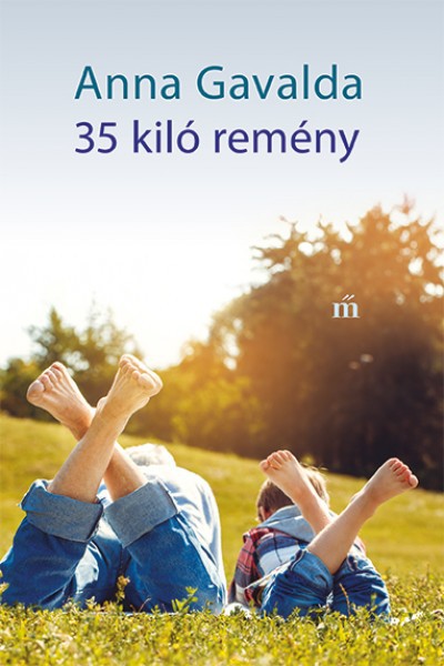 a könyv borítója