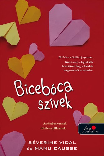 a könyv borítója