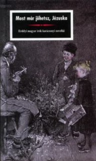 a könyv borítója