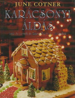 a könyv borítója