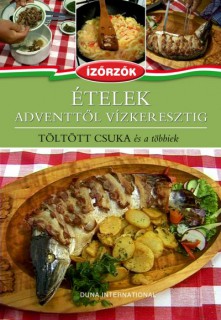 a könyv borítója