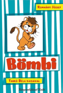 a könyv borítója