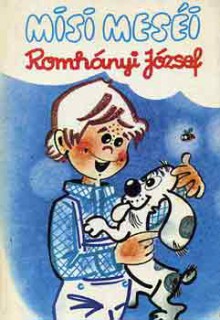 a könyv borítója