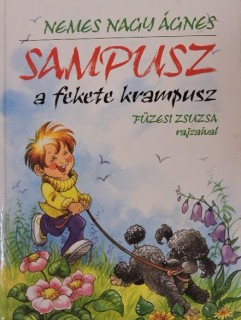 könyvborító